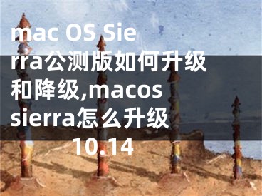 mac OS Sierra公測(cè)版如何升級(jí)和降級(jí),macos sierra怎么升級(jí)10.14