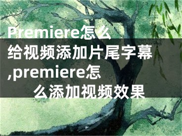 Premiere怎么給視頻添加片尾字幕 ,premiere怎么添加視頻效果