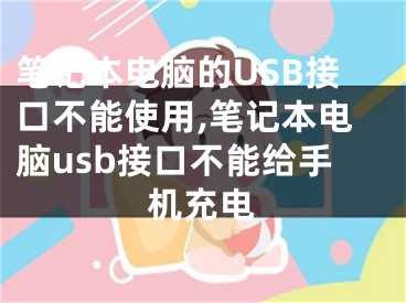 筆記本電腦的USB接口不能使用,筆記本電腦usb接口不能給手機充電