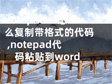 notepad++怎么復(fù)制帶格式的代碼  ,notepad代碼粘貼到word