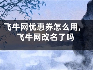 飛牛網(wǎng)優(yōu)惠券怎么用,飛牛網(wǎng)改名了嗎