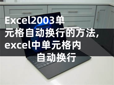 Excel2003單元格自動(dòng)換行的方法,excel中單元格內(nèi)自動(dòng)換行