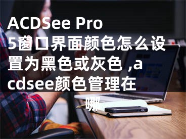 ACDSee Pro5窗口界面顏色怎么設(shè)置為黑色或灰色 ,acdsee顏色管理在哪