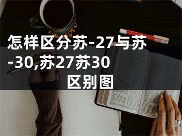 怎樣區(qū)分蘇-27與蘇-30,蘇27蘇30區(qū)別圖