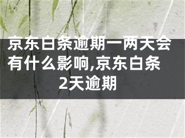 京東白條逾期一兩天會(huì)有什么影響,京東白條2天逾期