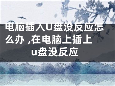 電腦插入U盤沒反應怎么辦 ,在電腦上插上u盤沒反應