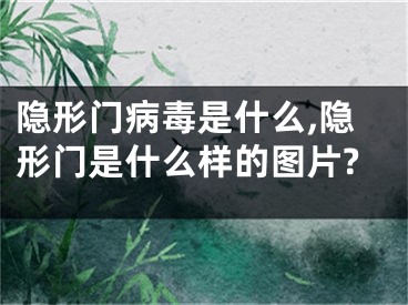 隱形門(mén)病毒是什么,隱形門(mén)是什么樣的圖片?