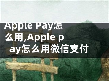 Apple Pay怎么用,Apple pay怎么用微信支付