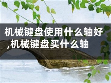 機(jī)械鍵盤使用什么軸好 ,機(jī)械鍵盤買什么軸