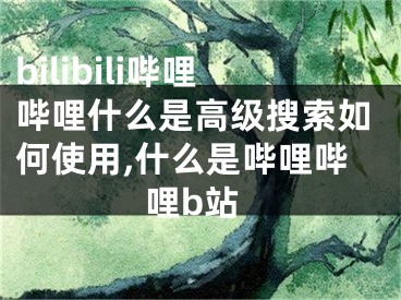 bilibili嗶哩嗶哩什么是高級(jí)搜索如何使用,什么是嗶哩嗶哩b站