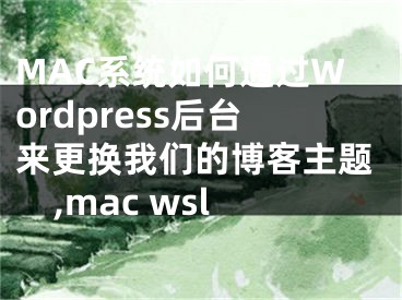 MAC系統(tǒng)如何通過Wordpress后臺(tái)來(lái)更換我們的博客主題,mac wsl