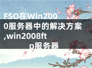 FSO在Win2000服務(wù)器中的解決方案,win2008ftp服務(wù)器