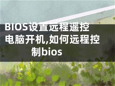 BIOS設(shè)置遠(yuǎn)程遙控電腦開機(jī),如何遠(yuǎn)程控制bios