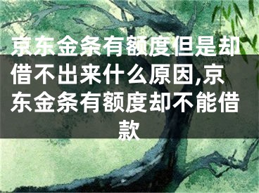 京東金條有額度但是卻借不出來什么原因,京東金條有額度卻不能借款