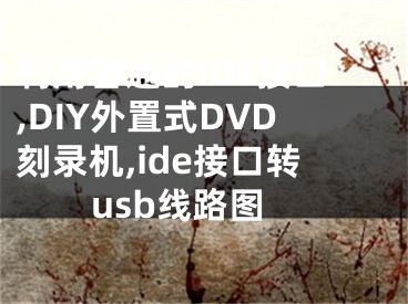 利用普通的IDE接口,DIY外置式DVD刻錄機(jī),ide接口轉(zhuǎn)usb線路圖