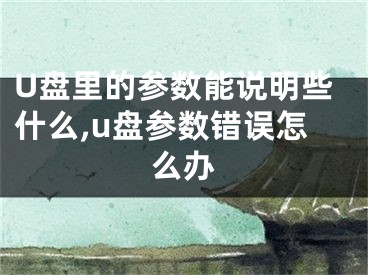 U盤里的參數(shù)能說明些什么,u盤參數(shù)錯(cuò)誤怎么辦