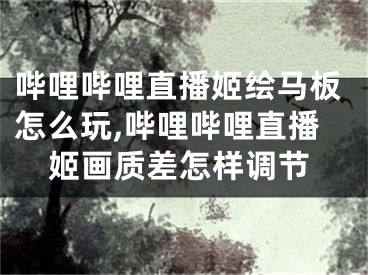 嗶哩嗶哩直播姬繪馬板怎么玩,嗶哩嗶哩直播姬畫質(zhì)差怎樣調(diào)節(jié)