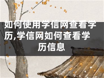 如何使用學(xué)信網(wǎng)查看學(xué)歷,學(xué)信網(wǎng)如何查看學(xué)歷信息