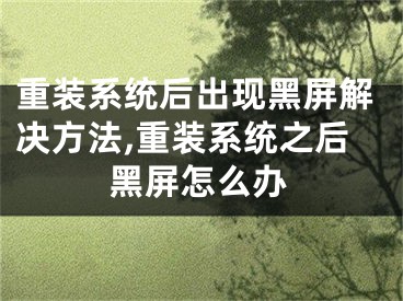 重裝系統(tǒng)后出現黑屏解決方法,重裝系統(tǒng)之后黑屏怎么辦