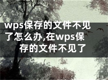 wps保存的文件不見了怎么辦,在wps保存的文件不見了