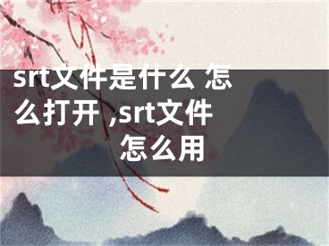 srt文件是什么 怎么打開 ,srt文件怎么用