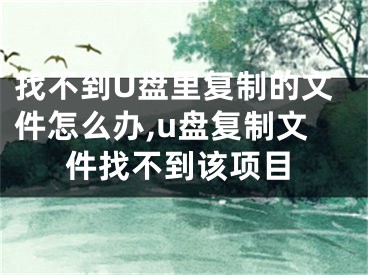 找不到U盤里復(fù)制的文件怎么辦,u盤復(fù)制文件找不到該項目