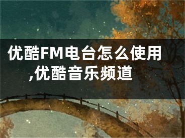 優(yōu)酷FM電臺(tái)怎么使用 ,優(yōu)酷音樂頻道