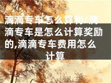 滴滴專車怎么算利/滴滴專車是怎么計算獎勵的,滴滴專車費用怎么計算