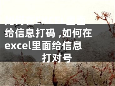 如何在EXCEL里面給信息打碼 ,如何在excel里面給信息打?qū)μ?hào)