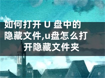 如何打開(kāi) U 盤(pán)中的隱藏文件,u盤(pán)怎么打開(kāi)隱藏文件夾