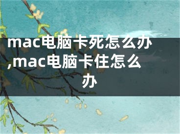 mac電腦卡死怎么辦,mac電腦卡住怎么辦