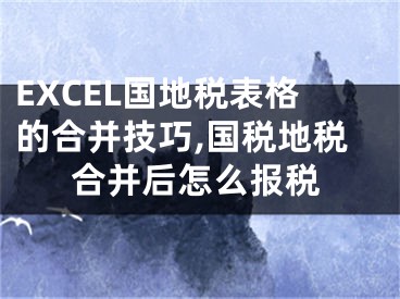 EXCEL國地稅表格的合并技巧,國稅地稅合并后怎么報稅