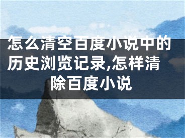 怎么清空百度小說中的歷史瀏覽記錄,怎樣清除百度小說