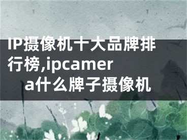 IP攝像機(jī)十大品牌排行榜,ipcamera什么牌子攝像機(jī)