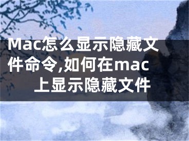 Mac怎么顯示隱藏文件命令,如何在mac上顯示隱藏文件