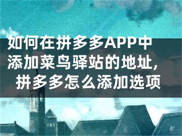 如何在拼多多APP中添加菜鳥(niǎo)驛站的地址,拼多多怎么添加選項(xiàng)