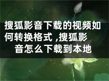 搜狐影音下載的視頻如何轉(zhuǎn)換格式 ,搜狐影音怎么下載到本地