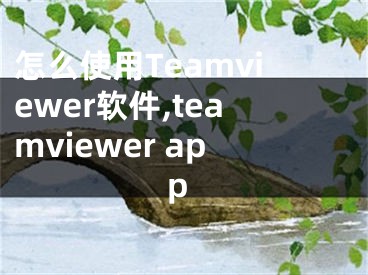 怎么使用Teamviewer軟件,teamviewer app