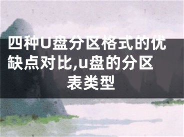 四種U盤分區(qū)格式的優(yōu)缺點(diǎn)對(duì)比,u盤的分區(qū)表類型