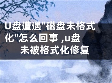 U盤遭遇"磁盤未格式化"怎么回事 ,u盤未被格式化修復(fù)