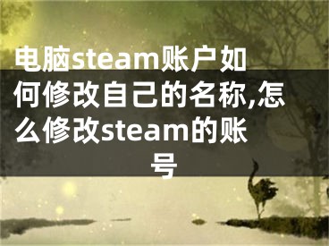 電腦steam賬戶如何修改自己的名稱,怎么修改steam的賬號