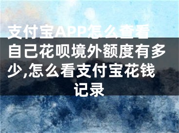 支付寶APP怎么查看自己花唄境外額度有多少,怎么看支付寶花錢記錄