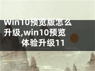 Win10預(yù)覽版怎么升級(jí),win10預(yù)覽體驗(yàn)升級(jí)11