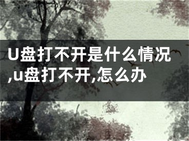 U盤(pán)打不開(kāi)是什么情況,u盤(pán)打不開(kāi),怎么辦