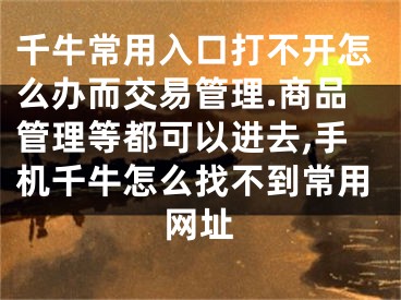 千牛常用入口打不開怎么辦而交易管理.商品管理等都可以進(jìn)去,手機千牛怎么找不到常用網(wǎng)址