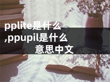 pplite是什么 ,ppupil是什么意思中文