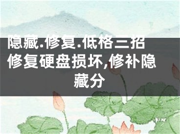 隱藏.修復(fù).低格三招修復(fù)硬盤損壞,修補隱藏分