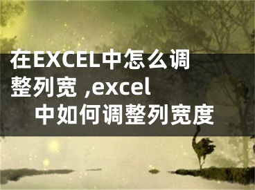 在EXCEL中怎么調(diào)整列寬 ,excel中如何調(diào)整列寬度