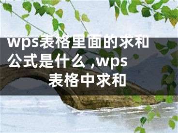 wps表格里面的求和公式是什么 ,wps表格中求和