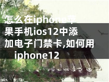 怎么在iphone蘋果手機ios12中添加電子門禁卡,如何用iphone12